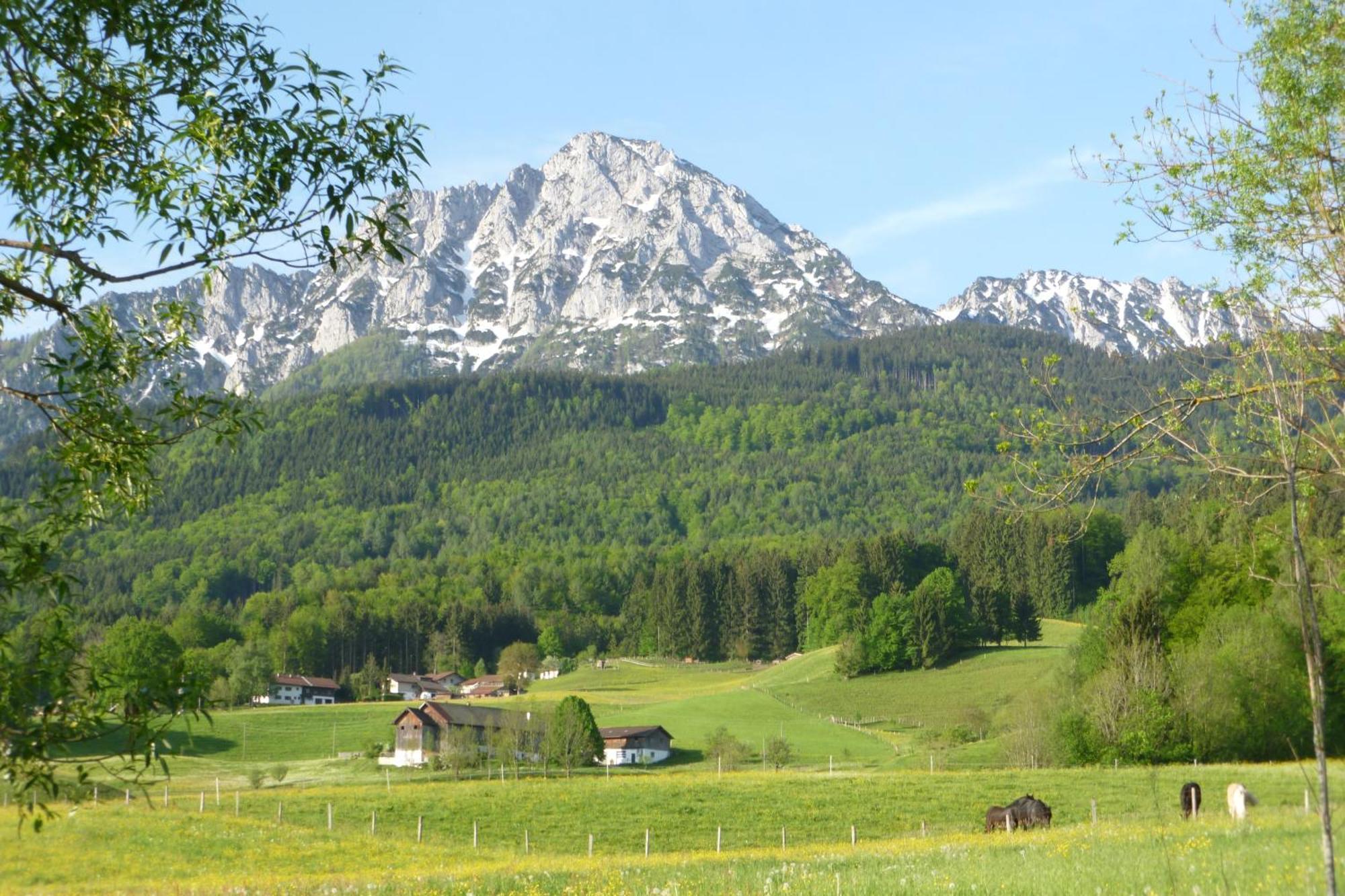 Landhaus Fuerberger Anger Buitenkant foto